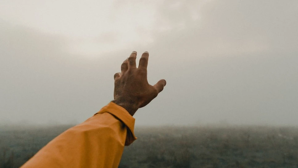 SE-9a4eaac7-e8a2-4993-93b8-b3d5bad8f598.jpg?type=w966