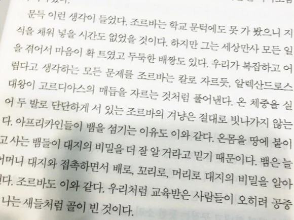 attachImage_4082203241.jpeg?type=w580