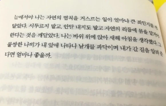 attachImage_511278862.jpeg?type=w580