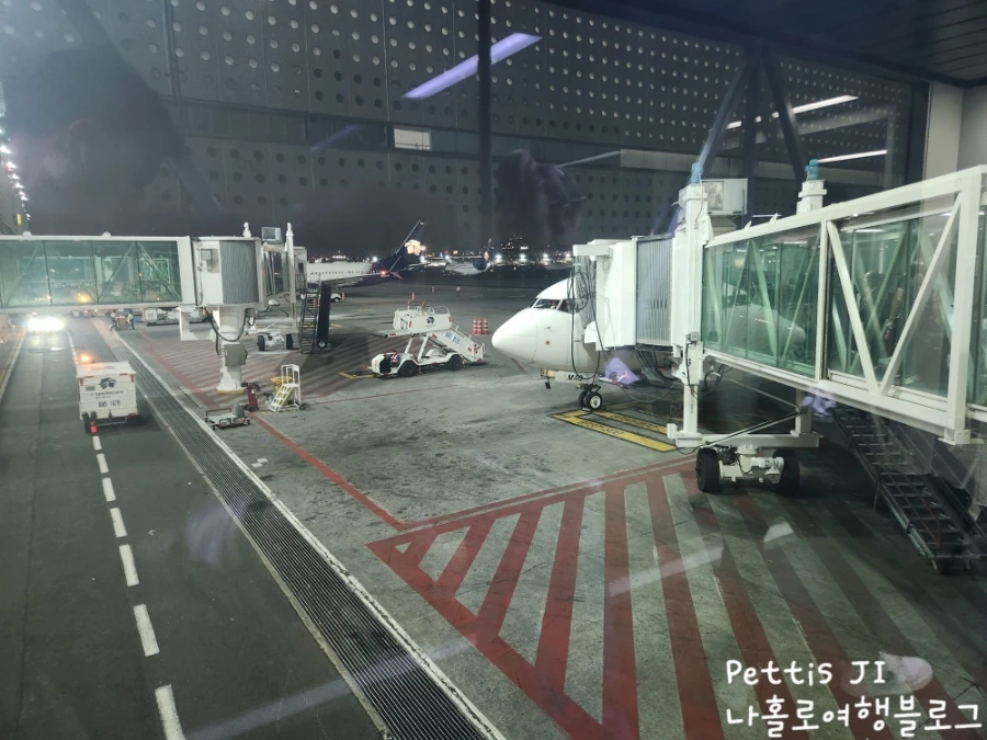 900%EF%BC%BF1761632092965.jpg?type=w1