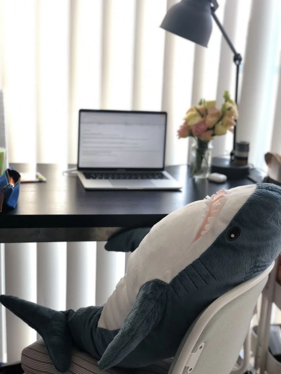 fullsizeoutput_96c3.jpeg?type=w966