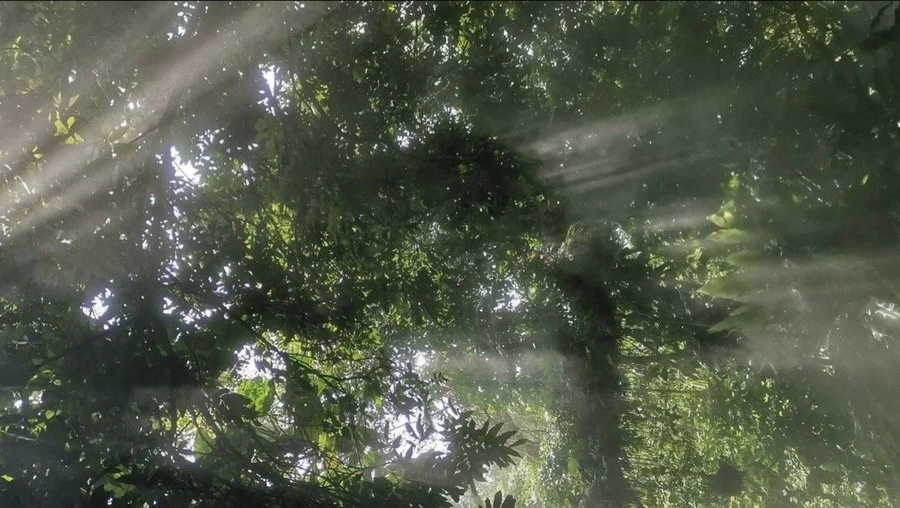 IMG_5734.JPG?type=w966