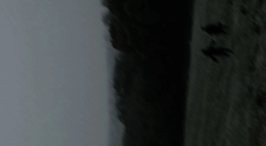 IMG_5738.JPG?type=w966