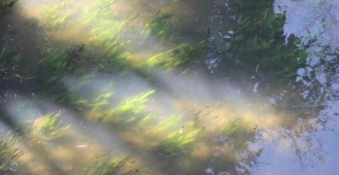 %ED%99%94%EB%A9%B4_%EC%BA%A1%EC%B2%982.png?type=w966