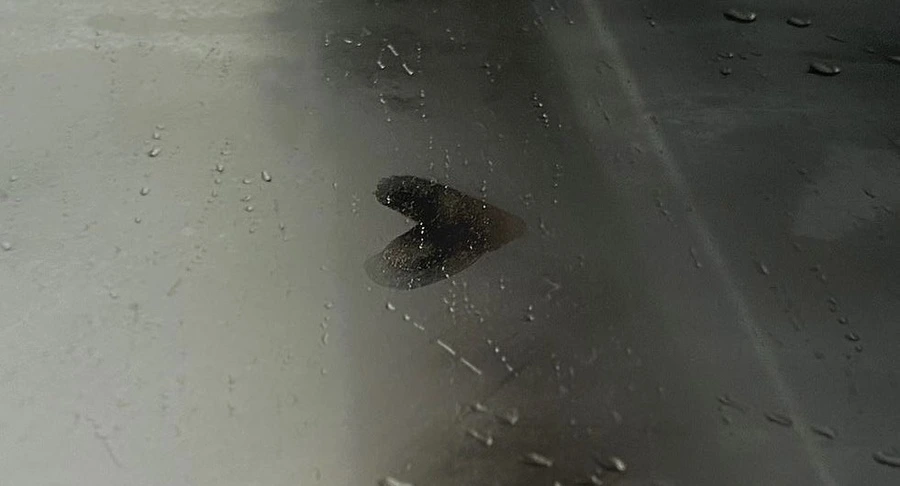 IMG_5739.JPG?type=w966