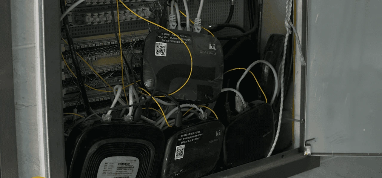 81d62e53-0322-46e9-b1a3-c90bece95b75