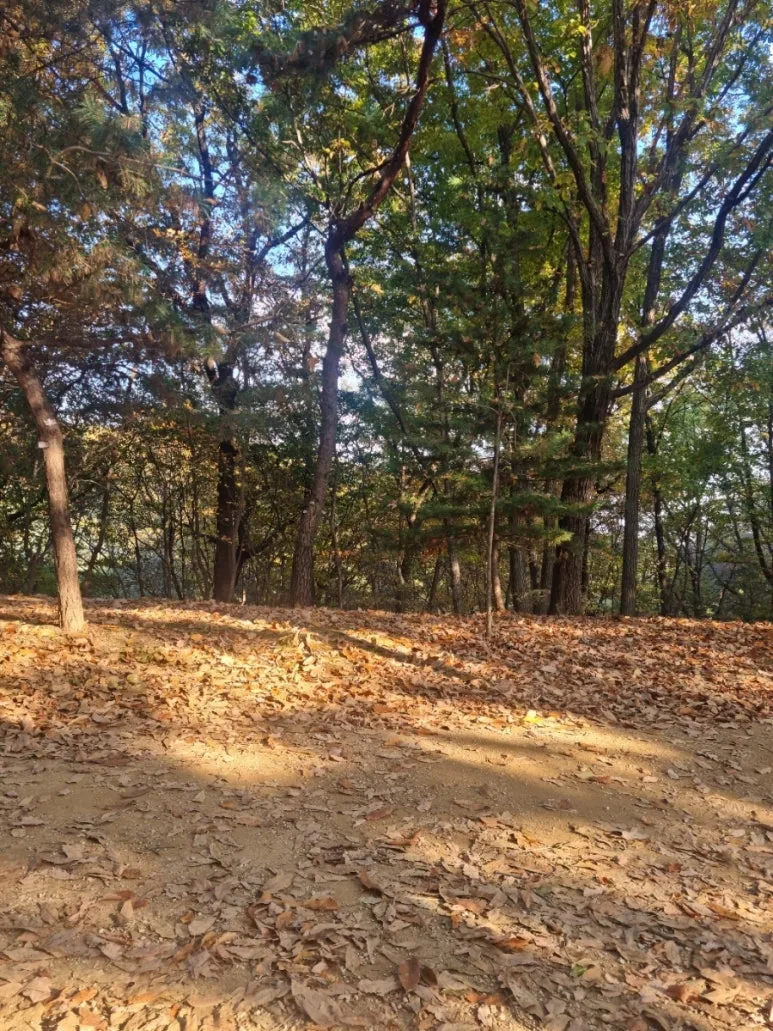 1731242175969.jpg?type=w773