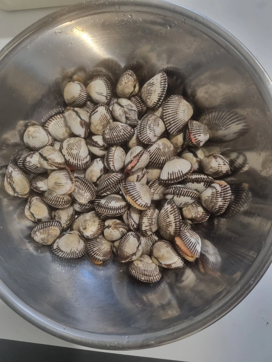 20240205%EF%BC%BF172023.jpg?type=w1