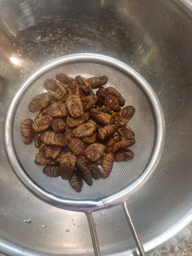 20241014%EF%BC%BF174839.jpg?type=w386