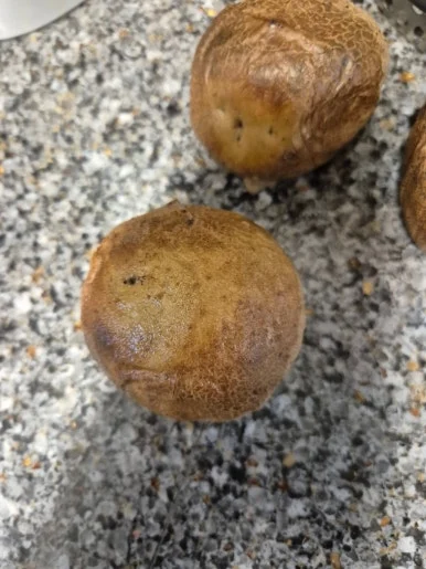 900%EF%BC%BF20250114%EF%BC%BF162827.jpg?type=w386