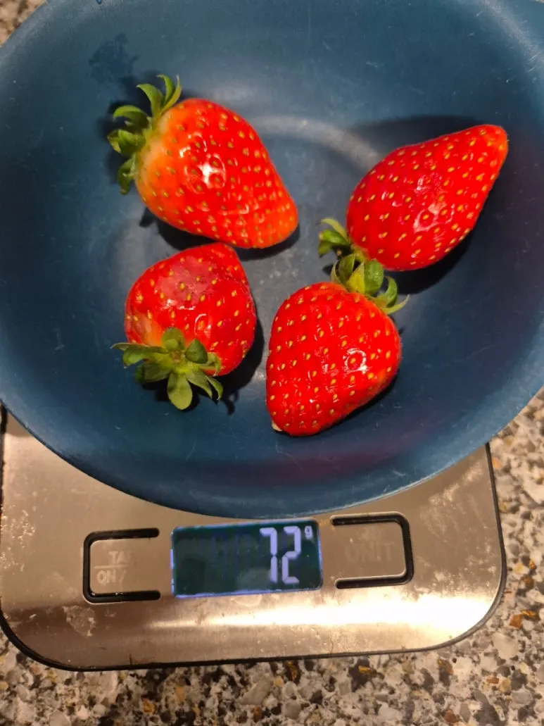 900%EF%BC%BF20250127%EF%BC%BF081228.jpg?type=w773