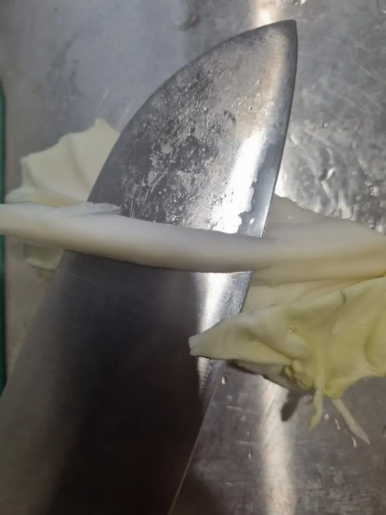 20240828%EF%BC%BF183128.jpg?type=w773