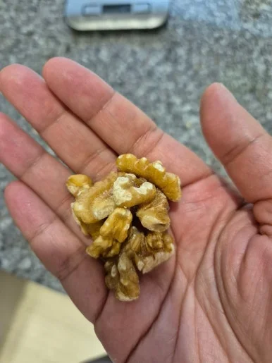 900%EF%BC%BF20241223%EF%BC%BF220019.jpg?type=w386