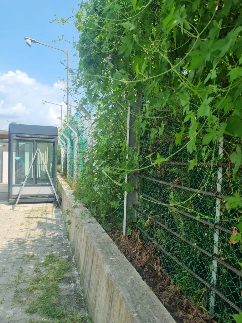 20240812%EF%BC%BF140411.jpg?type=w773