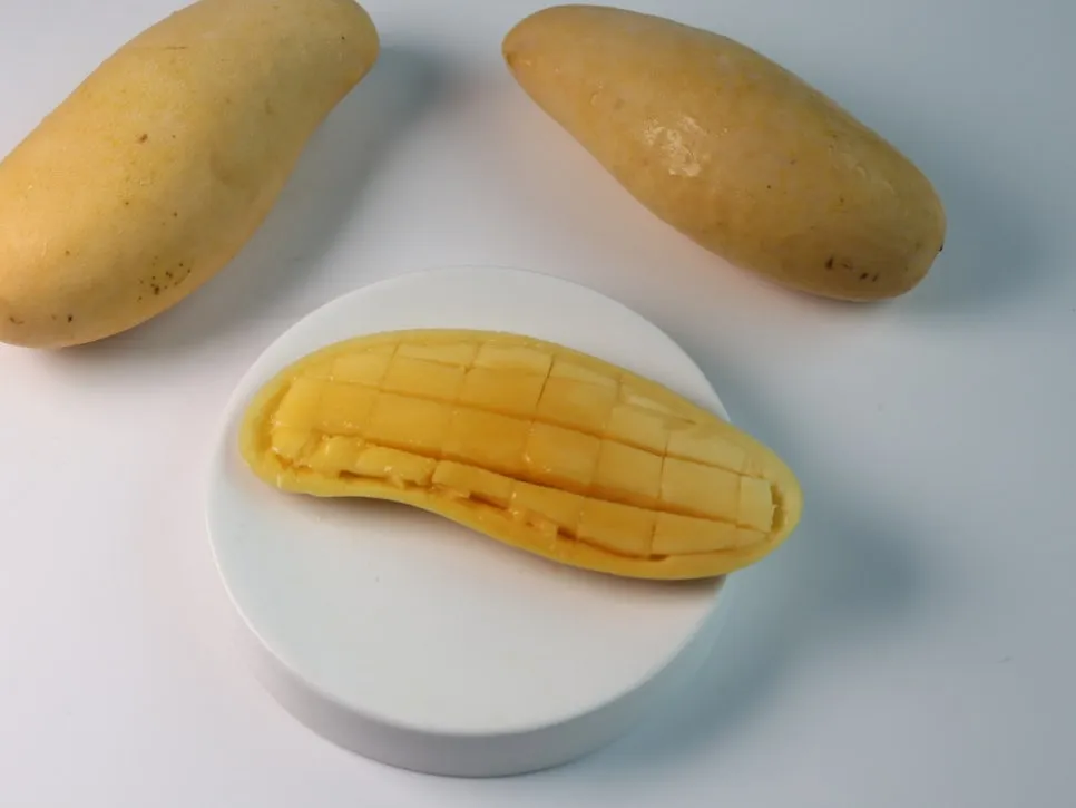 KakaoTalk_20250724_100109250.jpg?type=w966