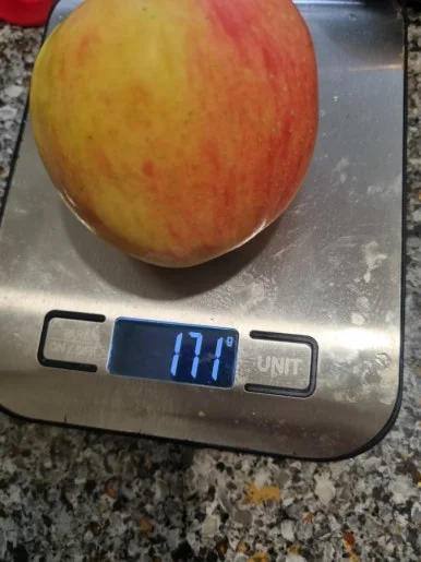 SE-883d9ce4-7c7d-11ef-bdb7-2fe942a0a8e9.jpg?type=w386