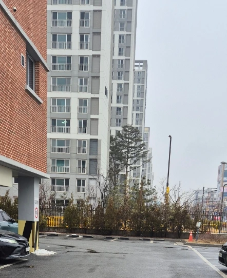 SE-2982cbc1-cc37-11ef-8605-5794525ac272.jpg?type=w773