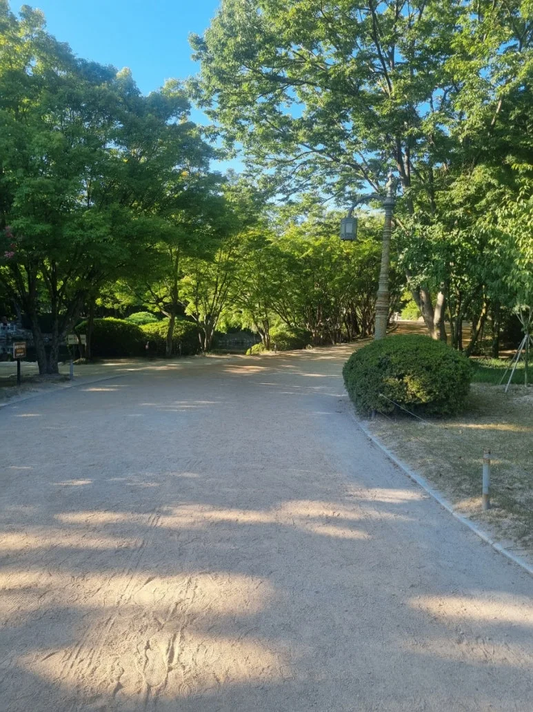 20240813%EF%BC%BF171525.jpg?type=w773