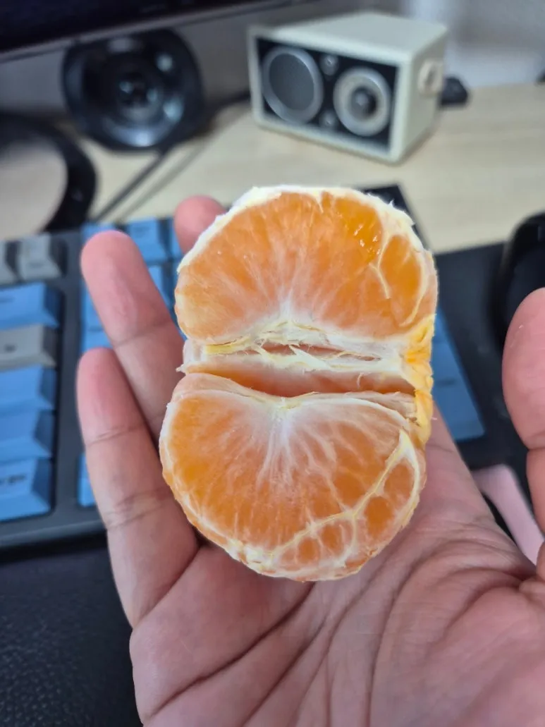 900%EF%BC%BF20250106%EF%BC%BF151844.jpg?type=w773