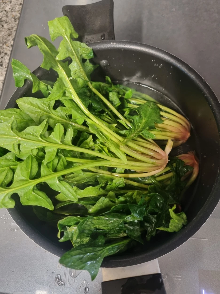 20240222%EF%BC%BF170612.jpg?type=w1