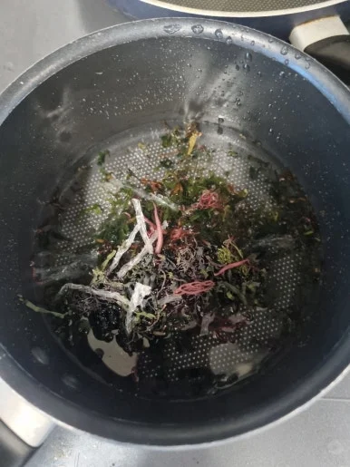 20241113%EF%BC%BF135518.jpg?type=w386