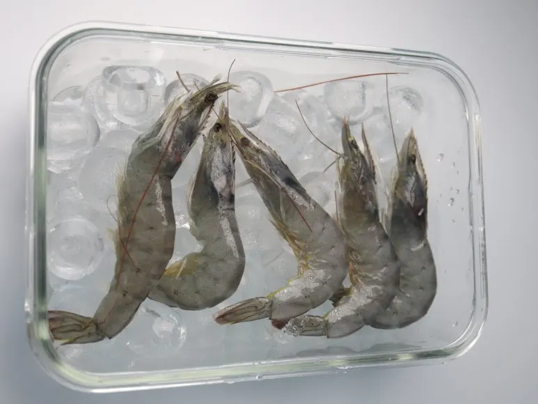 SE-9cc2a6ff-c85e-4e95-94ae-3cbc0fa598d1.jpg?type=w773