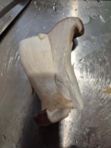 900%EF%BC%BF20250113%EF%BC%BF174911.jpg?type=w386