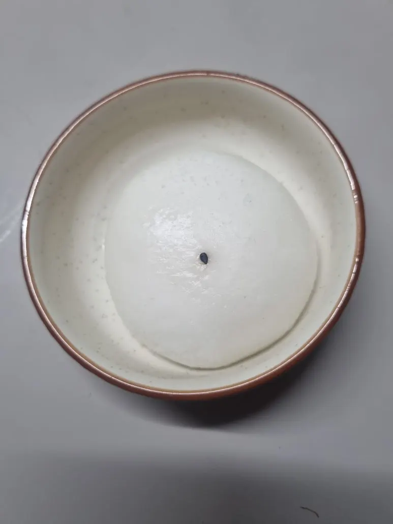 20240713%EF%BC%BF151607.jpg?type=w773