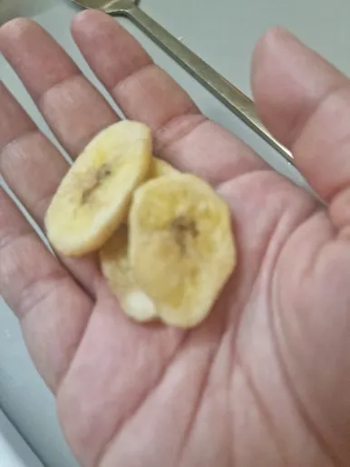 20241016%EF%BC%BF185213.jpg?type=w386