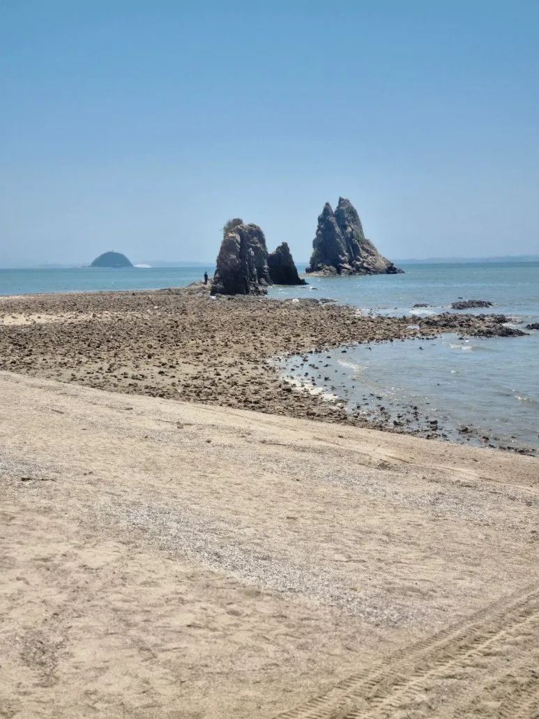 20240618%EF%BC%BF131219.jpg?type=w773