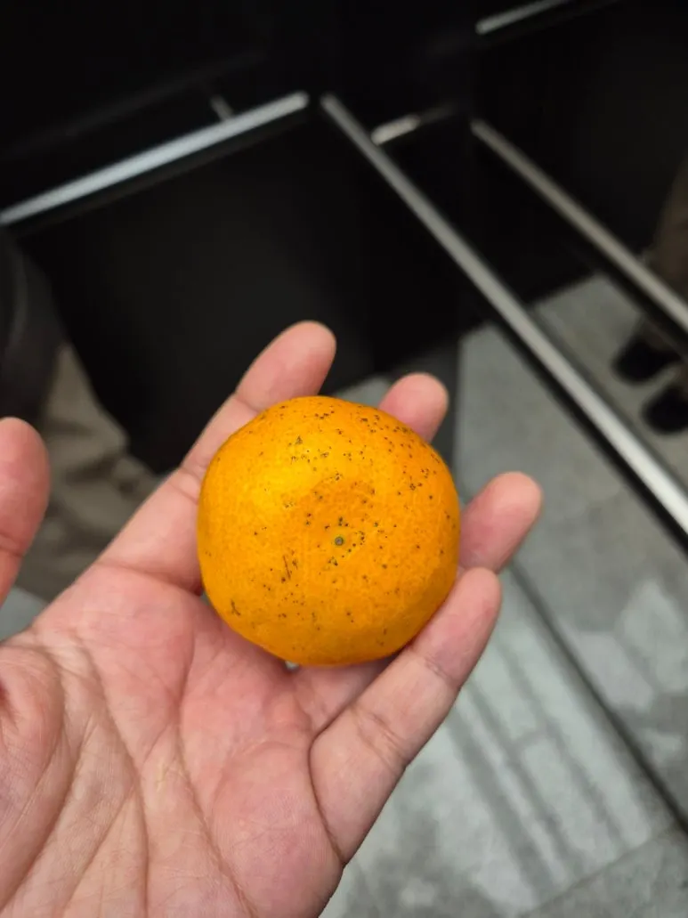 900%EF%BC%BF20250105%EF%BC%BF144127.jpg?type=w773