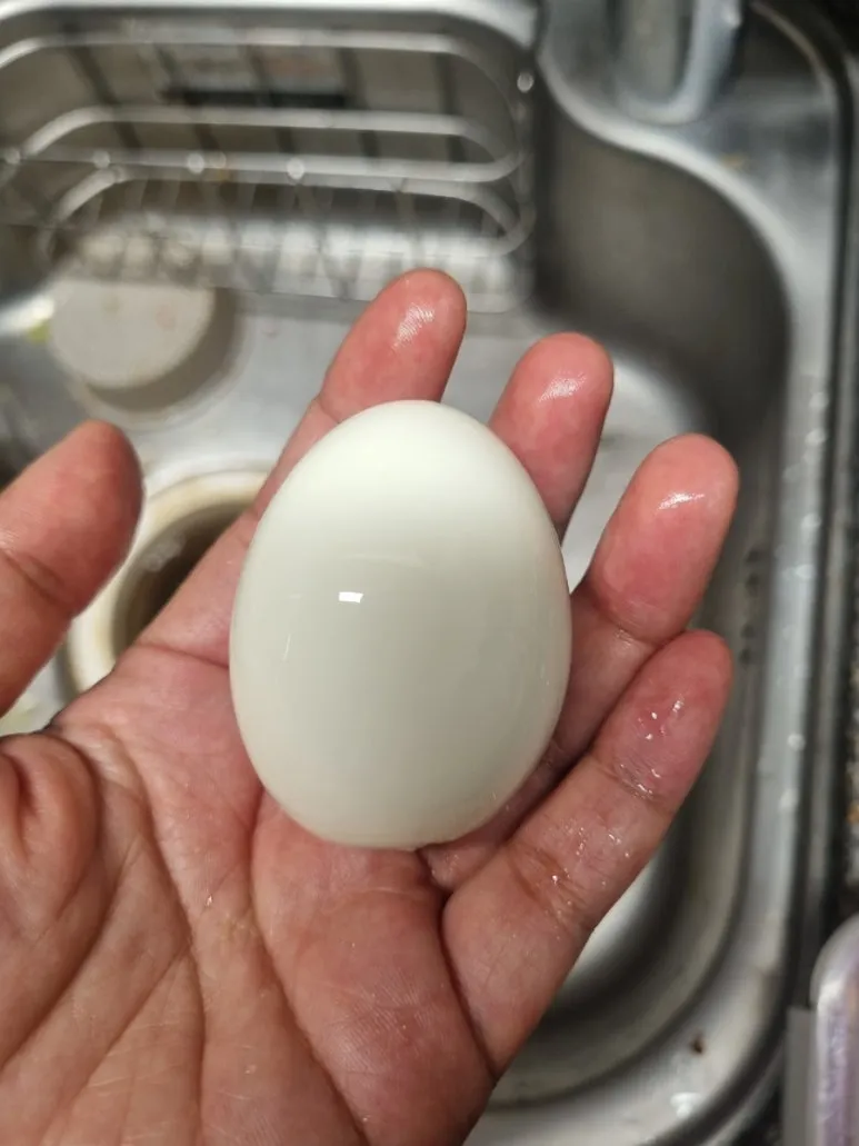 20240821%EF%BC%BF235935.jpg?type=w773