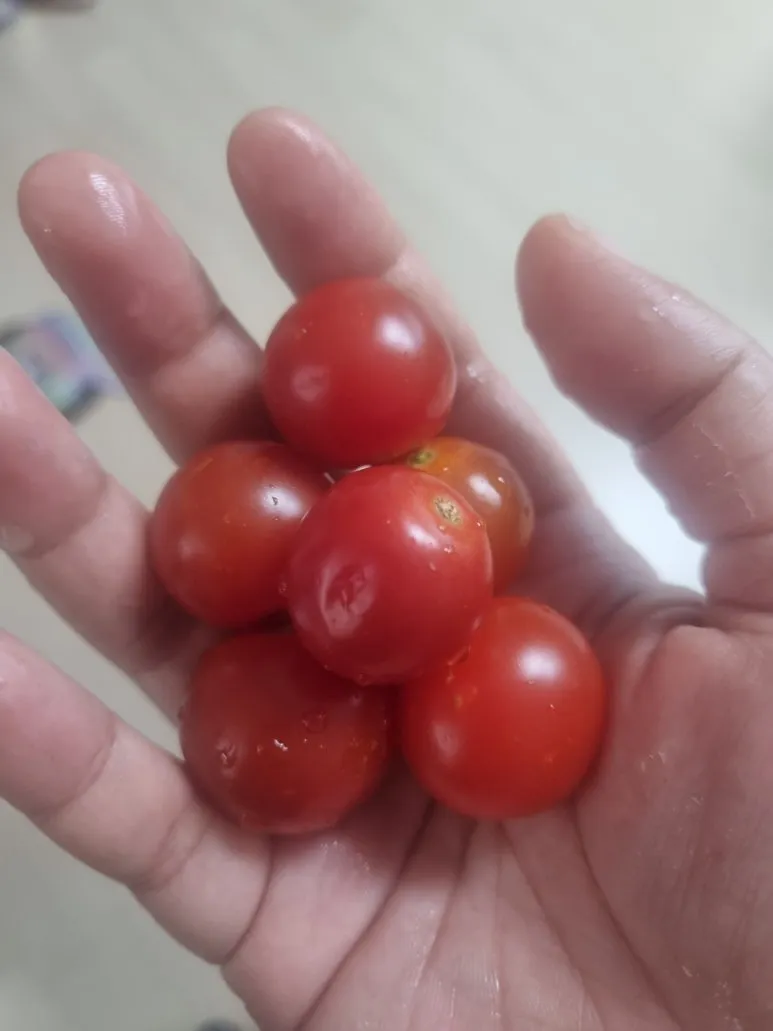 20240808%EF%BC%BF130849.jpg?type=w773