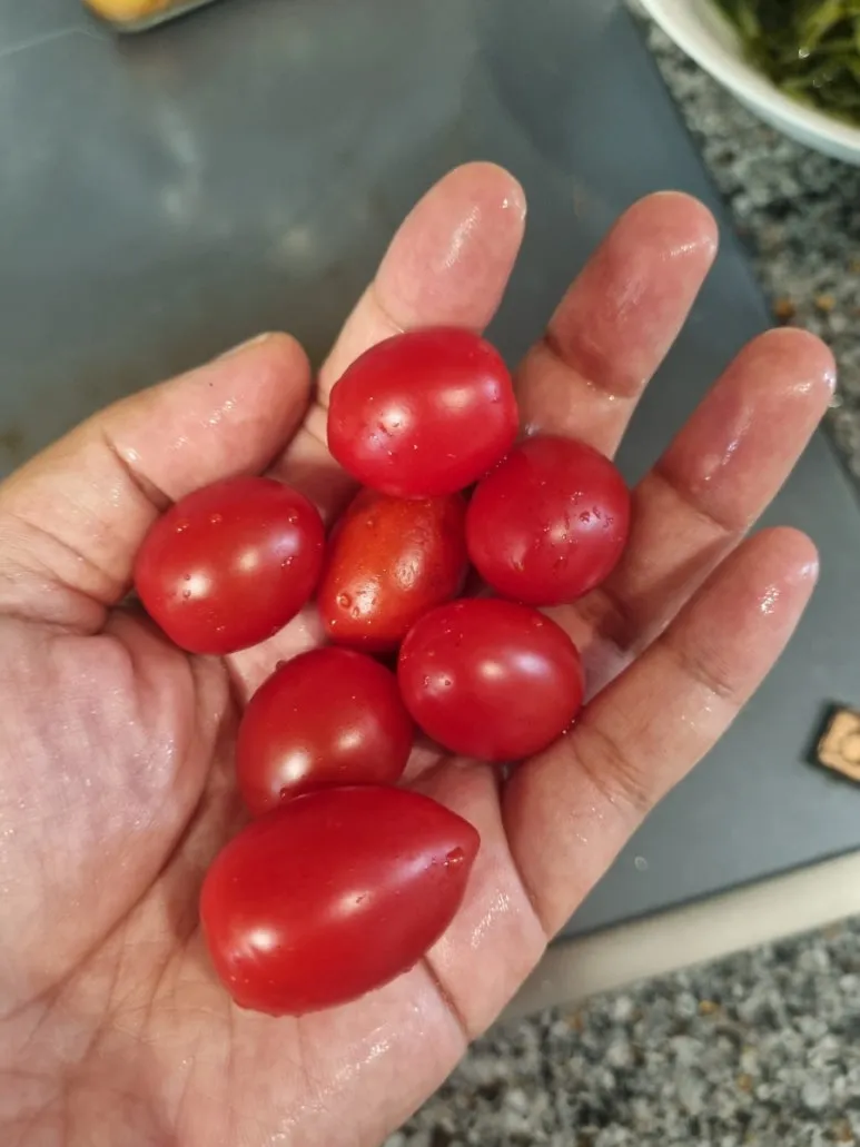 20240724%EF%BC%BF185428.jpg?type=w773