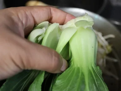 20240520031934%EF%BC%BFIMG%EF%BC%BF7834.JPG?type=w386