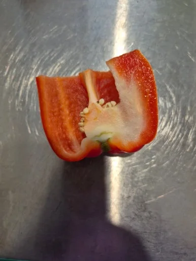 900%EF%BC%BF20241218%EF%BC%BF121938.jpg?type=w386