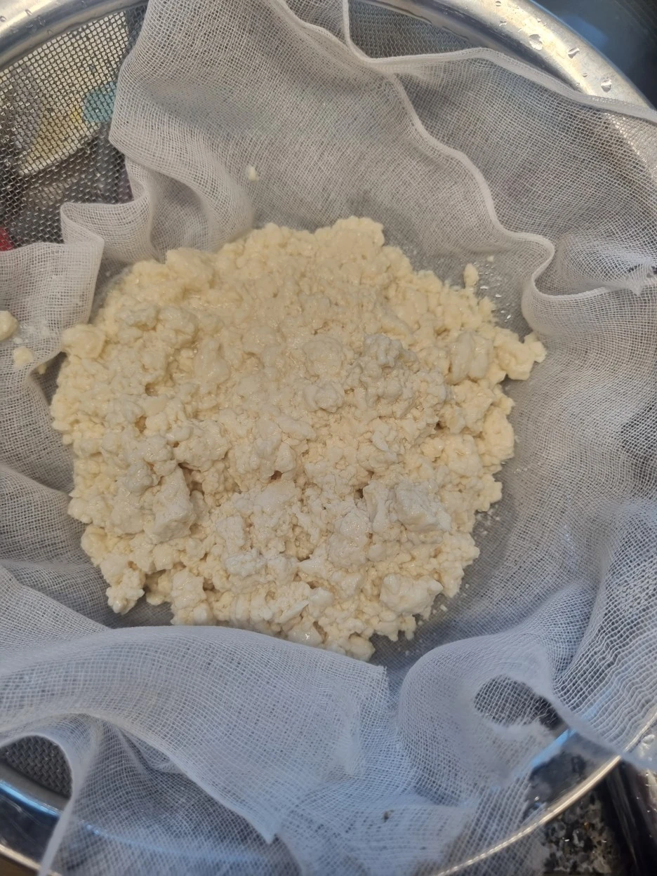 20240208%EF%BC%BF115801.jpg?type=w1