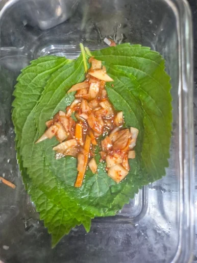 900%EF%BC%BF20250507%EF%BC%BF194835.jpg?type=w386