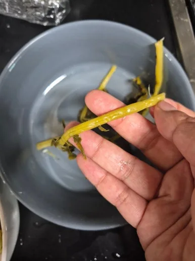 900%EF%BC%BF20250413%EF%BC%BF171409.jpg?type=w386