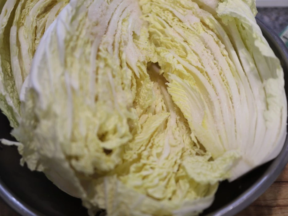 20240303011144%EF%BC%BFIMG%EF%BC%BF3530_%EF%BC%881%EF%BC%89.JPG?type=w1