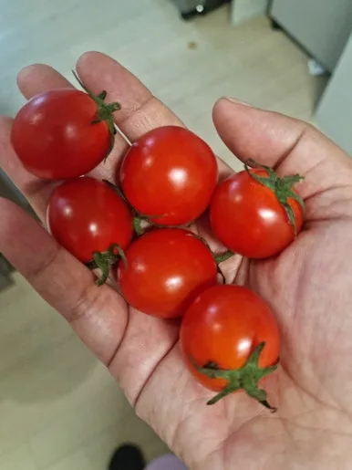 20241016%EF%BC%BF174949.jpg?type=w386