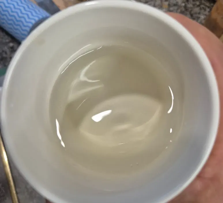 SE-bfca246f-da1c-11ef-9237-dddab34e113e.jpg?type=w773