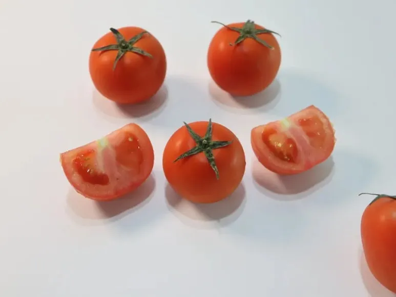 900%EF%BC%BFIMG%EF%BC%BF3341.JPG?type=w773