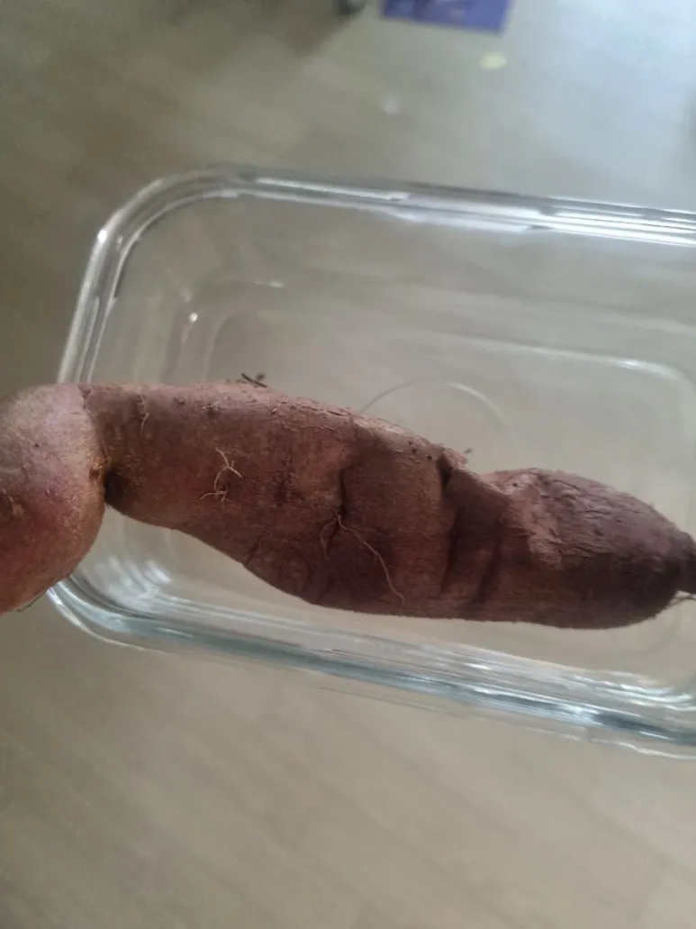 20240723%EF%BC%BF141701.jpg?type=w773