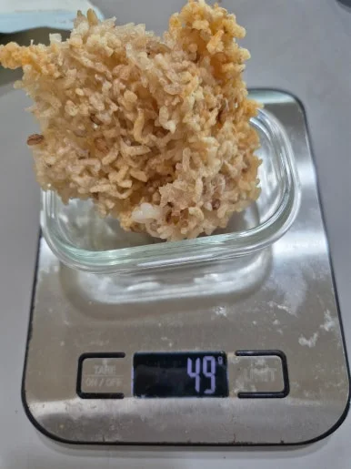 900%EF%BC%BF20250314%EF%BC%BF132851.jpg?type=w386