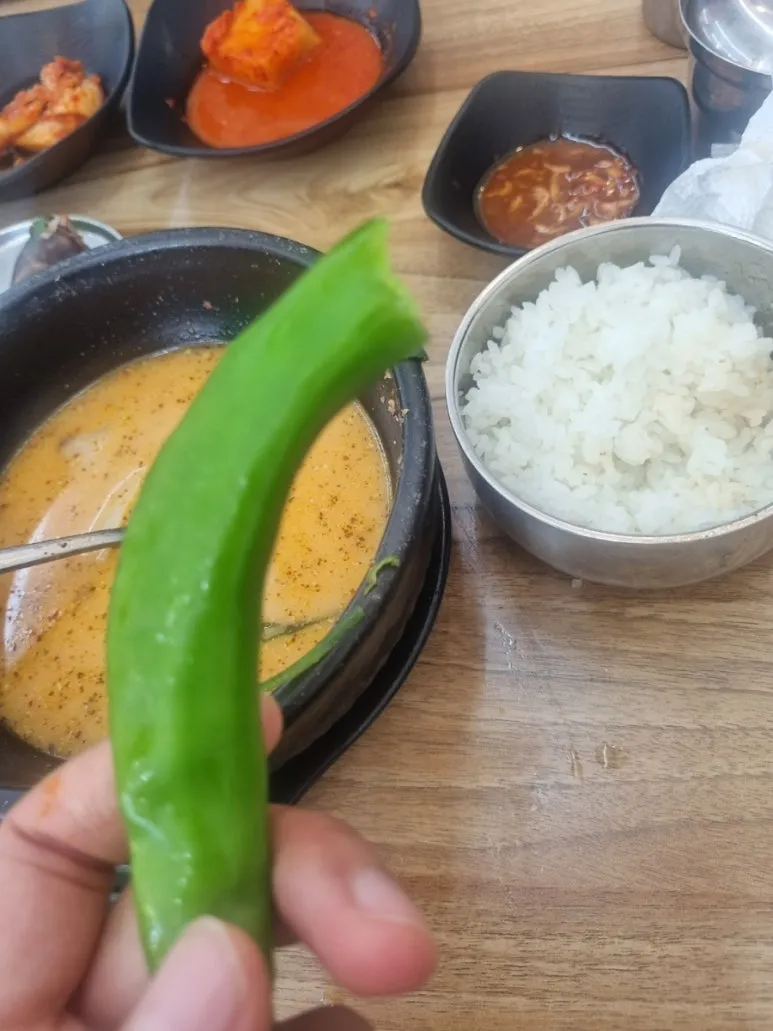 20240830%EF%BC%BF122438.jpg?type=w773