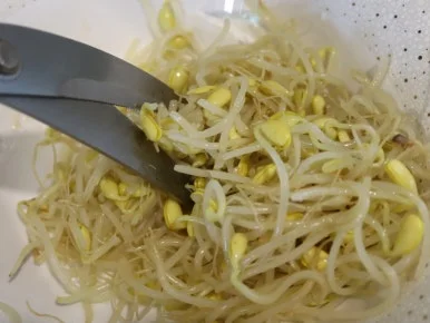 20240625164854%EF%BC%BFIMG%EF%BC%BF8976.JPG?type=w386