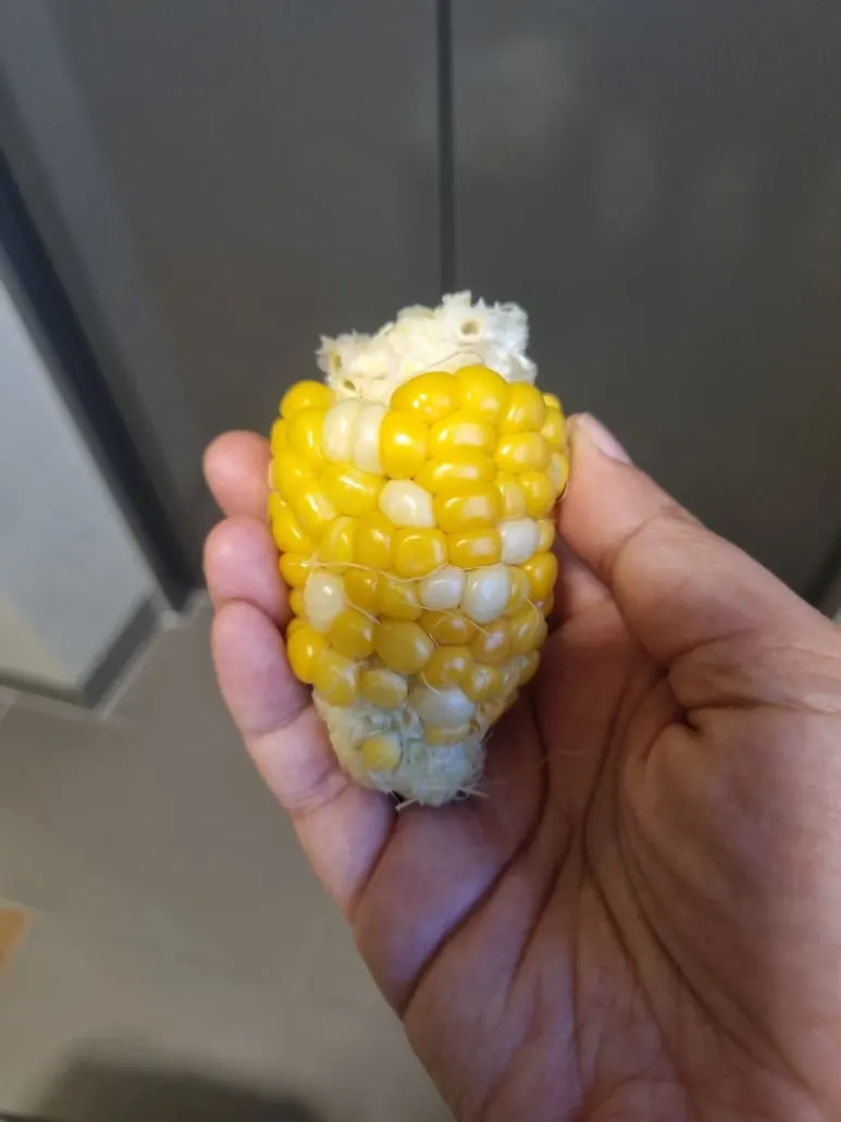 20240628%EF%BC%BF195600.jpg?type=w773