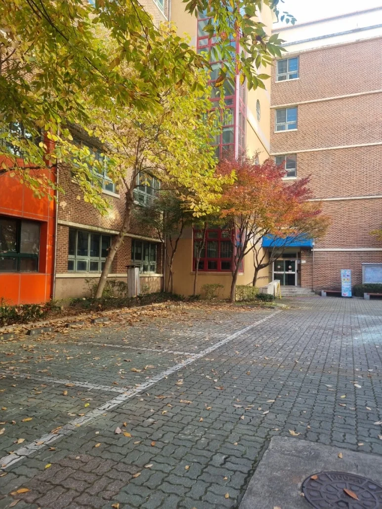 900%EF%BC%BF20241124%EF%BC%BF142010.jpg?type=w773