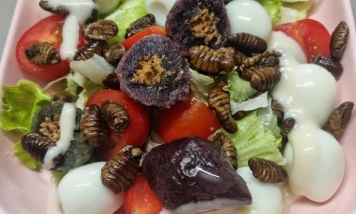 ?src=%22https%3A%2F%2Fblogthumb.pstatic.net%2FMjAyNDEwMjlfMTA4%2FMDAxNzMwMjAwNzY0OTAz.BzyQ1drk30nbzHZAjXOnmc6xKSPVySPHagKcCPxdyZUg.80_vv_RbNSViy7RZA8c2tdgIAT9MgXPZ8RIbJvWWVgwg.JPEG%2F20241029%25A3%25DF082820.jpg%3Ftype%3Dw2%22&type=ff500_300